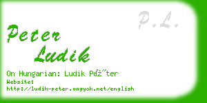 peter ludik business card